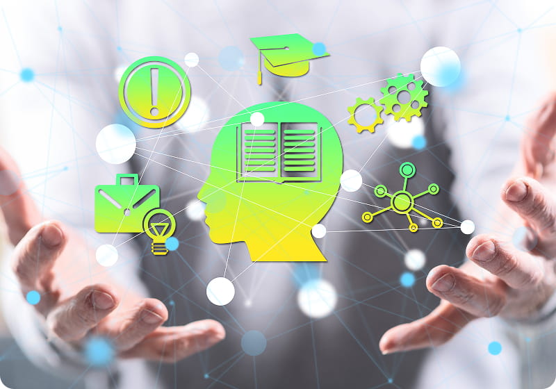 手の中コンテンツがある様子